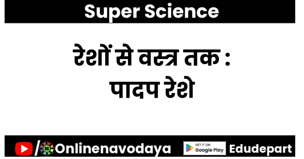 रेशों से वस्त्र तक : पादप रेशे कक्षा 6 विज्ञान अध्याय 14